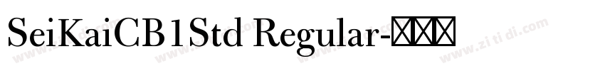 SeiKaiCB1Std Regular字体转换